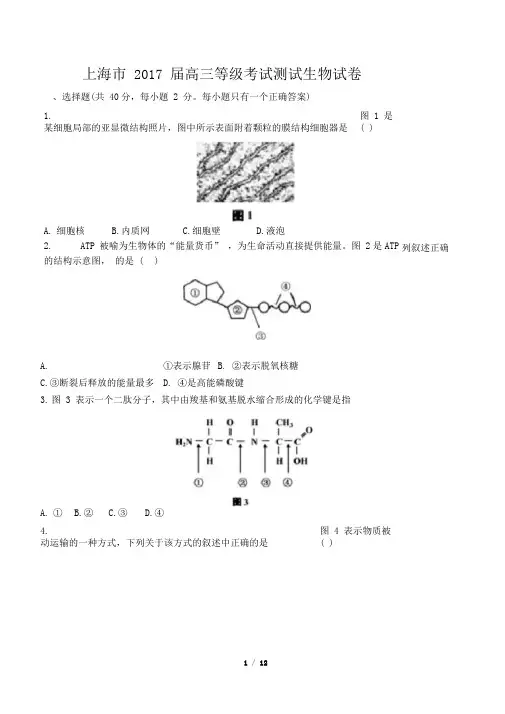 【上海市】2017届高三等级考试测试生物试卷(附答案与解析)