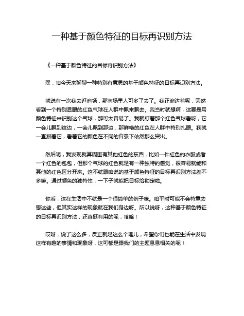 -一种基于颜色特征的目标再识别方法