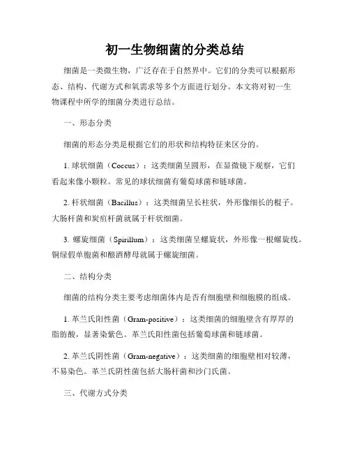 初一生物细菌的分类总结