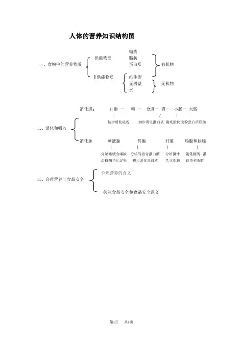 七年级(初一)生物人体的营养知识结构图