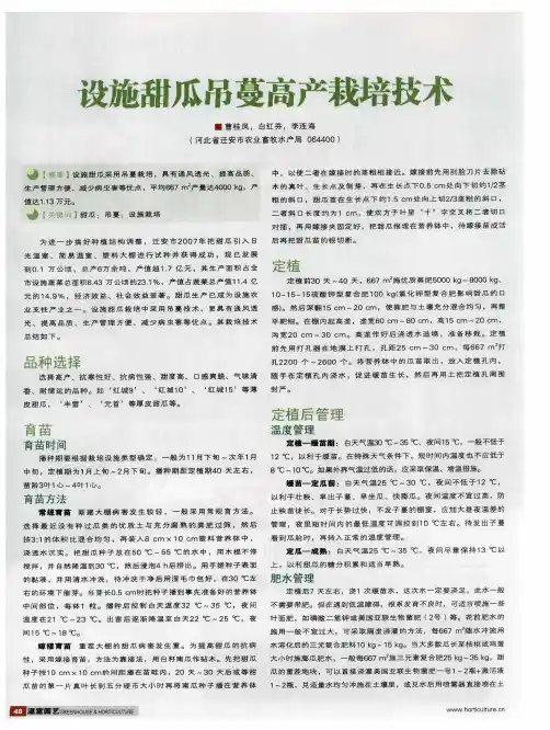 设施甜瓜吊蔓高产栽培技术