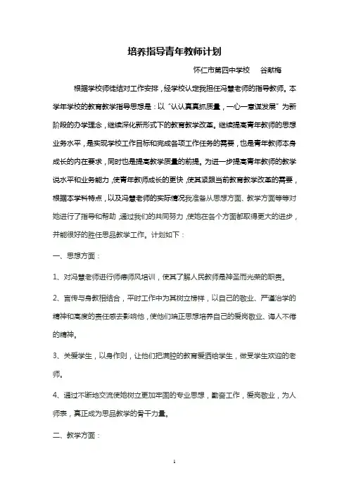 培养指导青年教师计划一