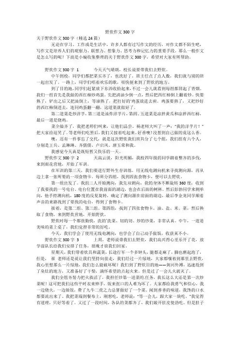 野炊作文300字