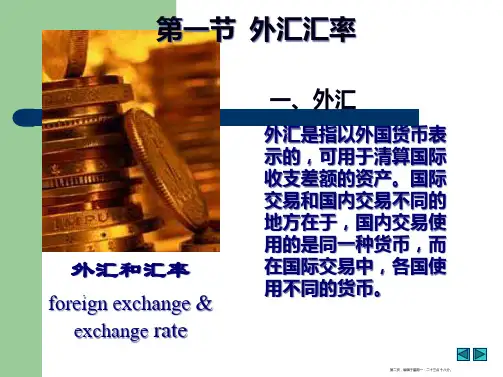 外汇与汇率决定理论知识92页PPT