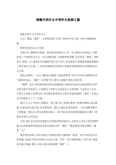 我眼中的什么中考作文范例5篇