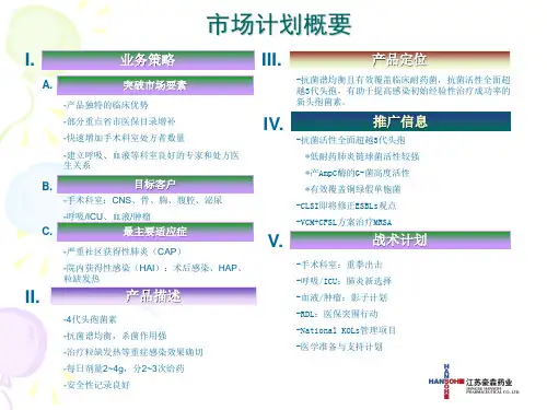 江苏豪森药业-市场目标、策略及行动32页PPT