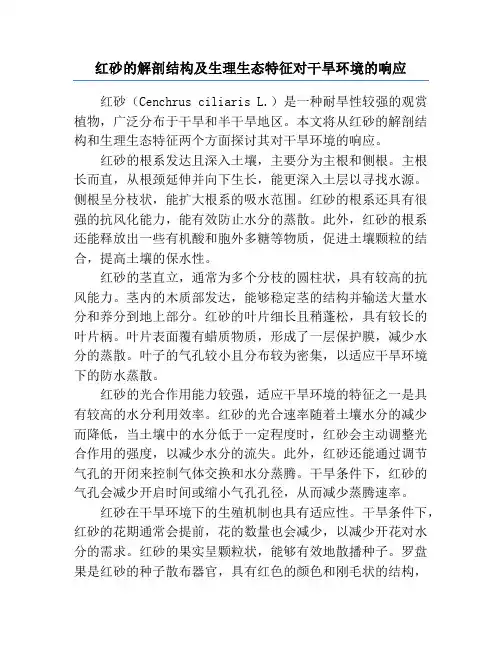 红砂的解剖结构及生理生态特征对干旱环境的响应