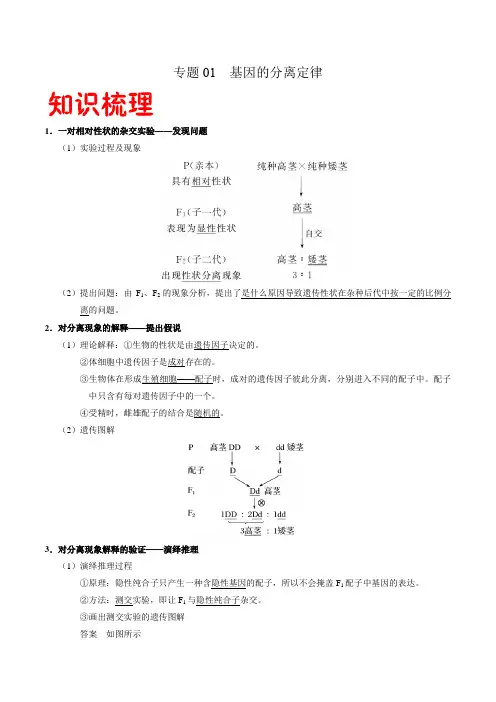 2021年高一生物下学期期末复习专题01 基因的分离定律(人教版必修2)(Word学生考试版)