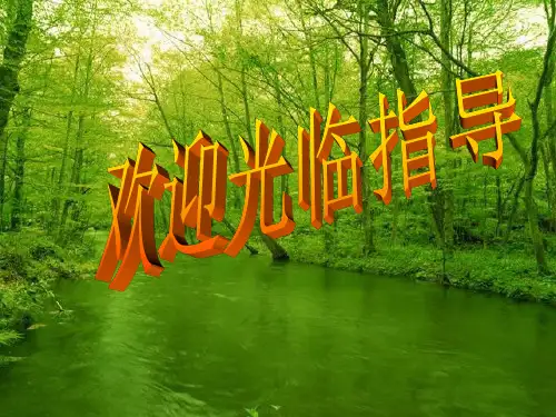 过氧化氢制氧气课件