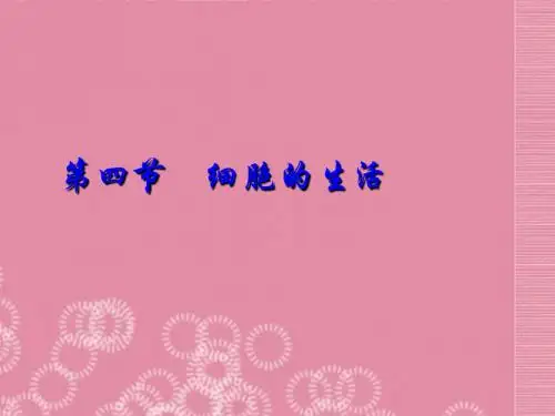 七年级生物上册《细胞的生活》课件_新人教版