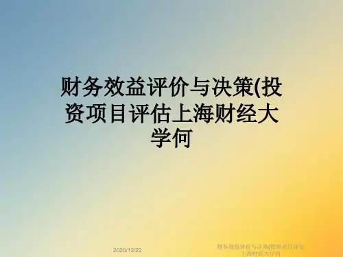 财务效益评价与决策(投资项目评估上海财经大学何