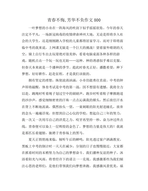 青春不悔,芳华不负作文800