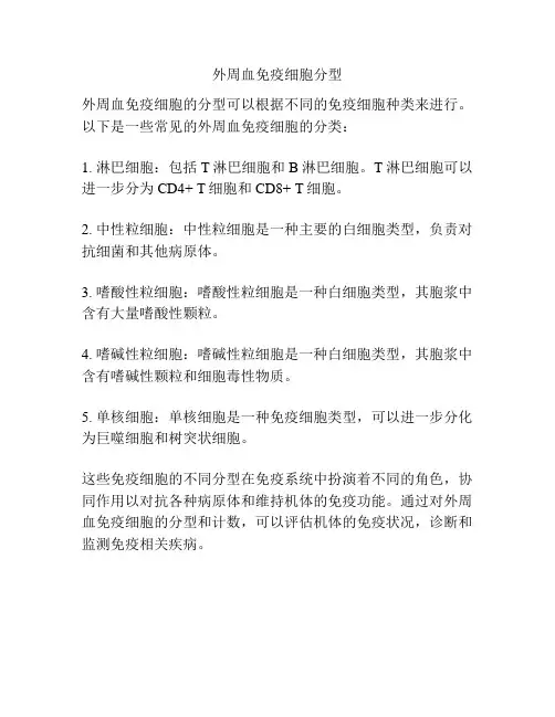 外周血免疫细胞分型