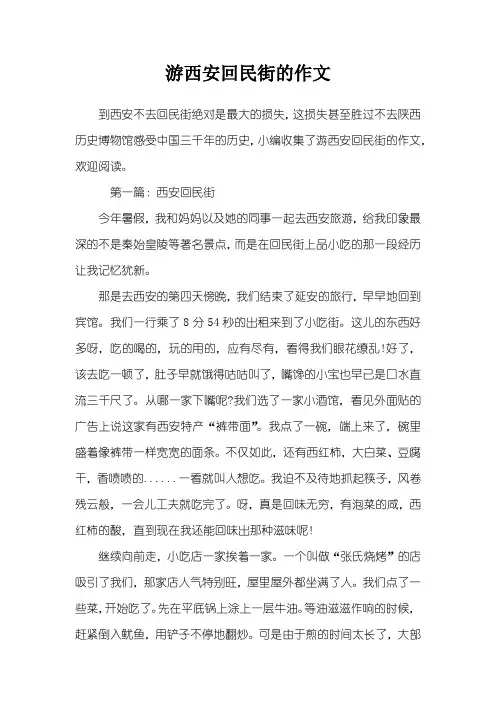 游西安回民街的作文