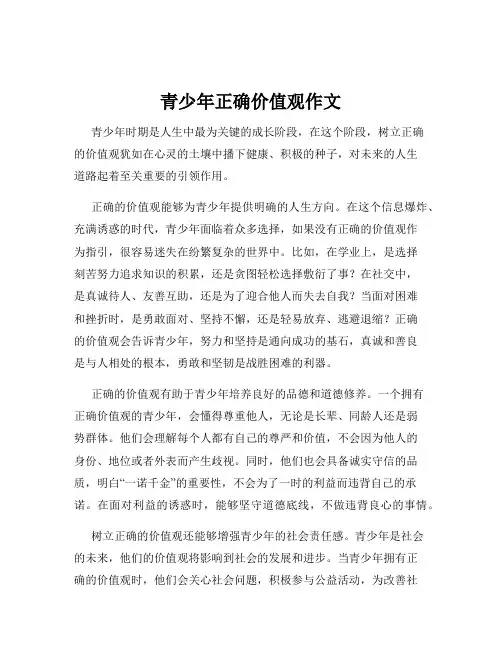 青少年正确价值观作文