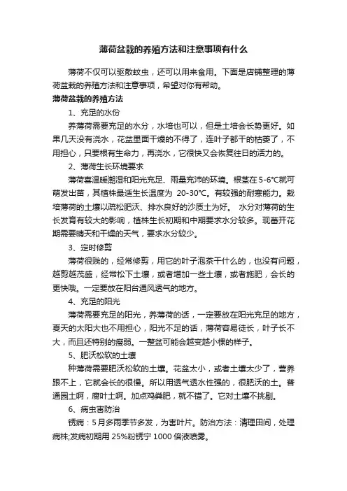 薄荷盆栽的养殖方法和注意事项有什么