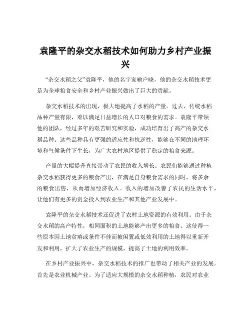 袁隆平的杂交水稻技术如何助力乡村产业振兴
