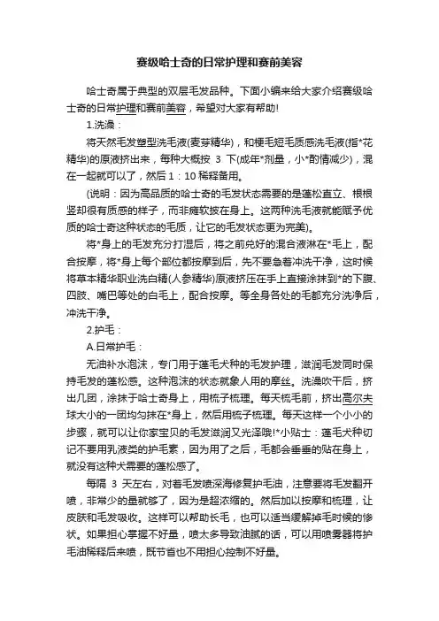 赛级哈士奇的日常护理和赛前美容