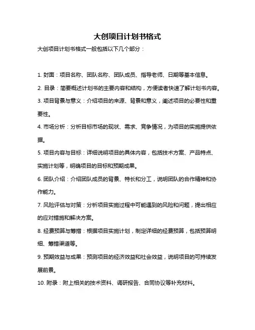 大创项目计划书格式