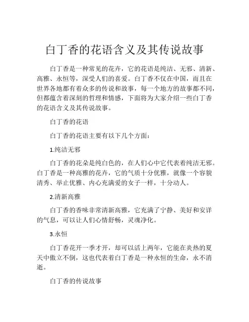 白丁香的花语含义及其传说故事