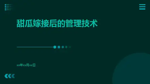 甜瓜嫁接后的管理技术