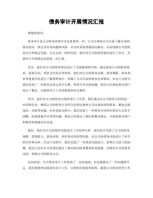 债务审计开展情况汇报