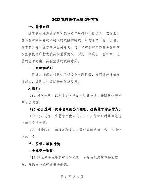 2023农村集体三资监管方案