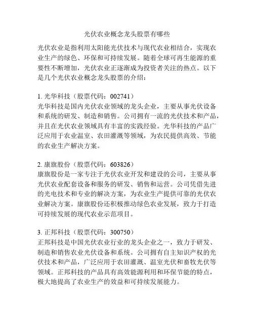 光伏农业概念龙头股票有哪些