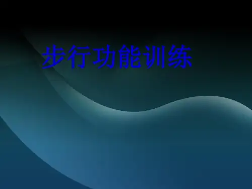 步行训练