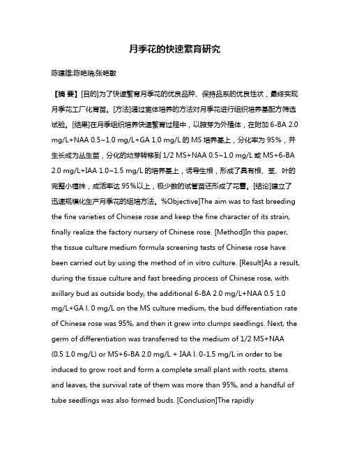月季花的快速繁育研究