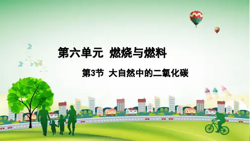 年鲁教版 初三化学上册第六单元6.3 大自然中的二氧化碳(共21张PPT)