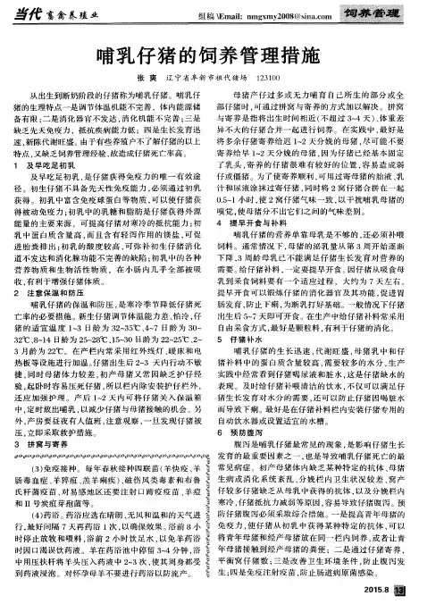 哺乳仔猪的饲养管理措施