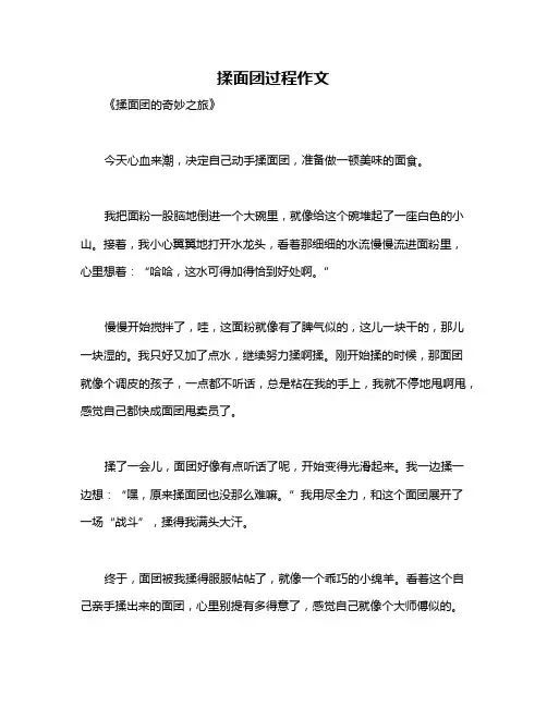 揉面团过程作文