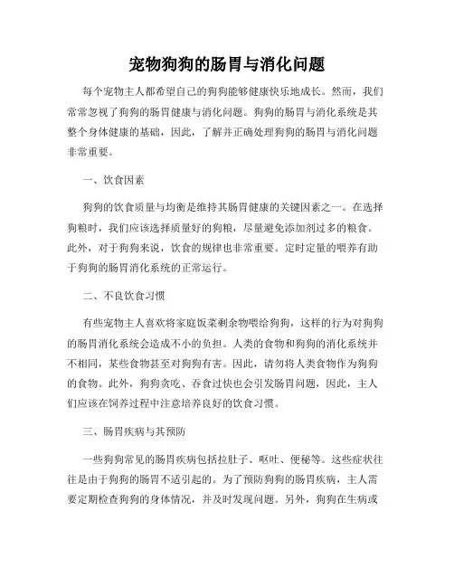 宠物狗狗的肠胃与消化问题