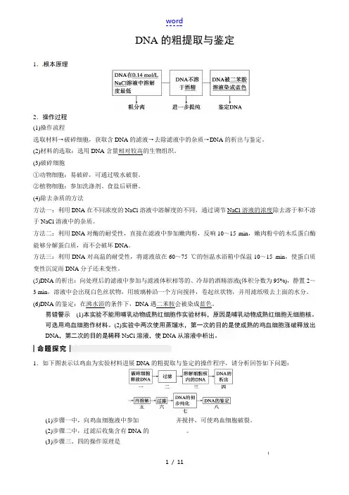 DNA粗提取与鉴定