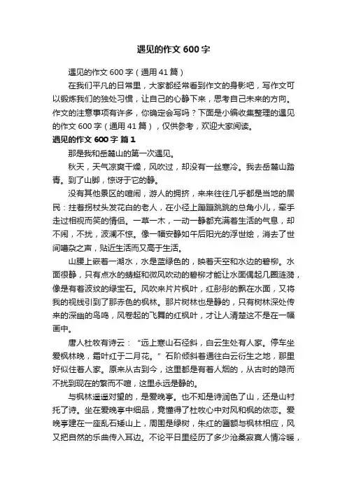 遇见的作文600字（通用41篇）