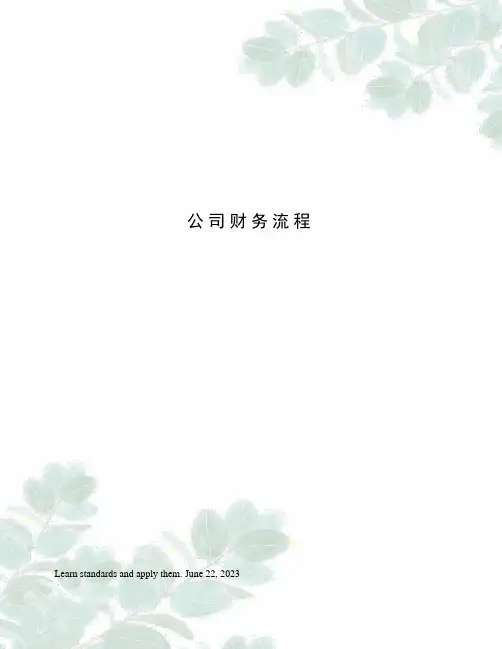 公司财务流程