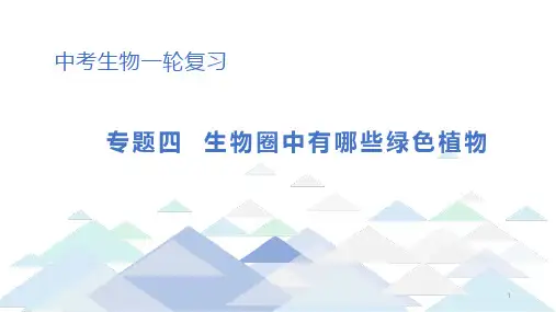 初中生物中考总复习课件：专题4 生物圈中有哪些绿色植物