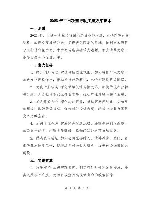 2023年百日攻坚行动实施方案范本
