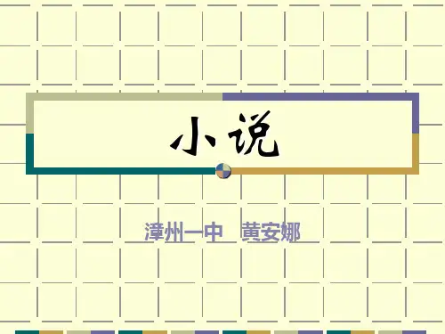 小说专题ppt课件