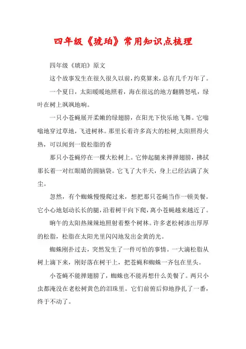 四年级《琥珀》常用知识点梳理