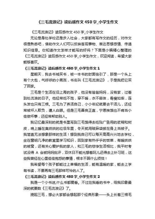 《三毛流浪记》读后感作文450字_小学生作文