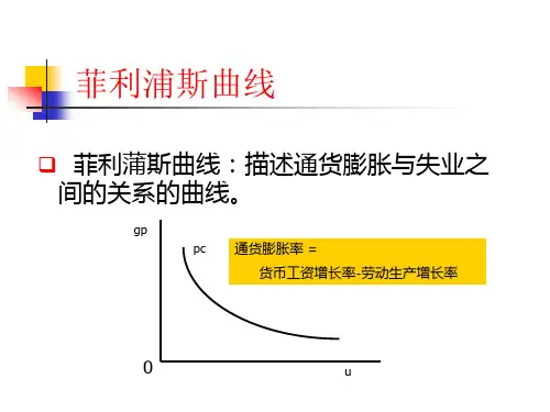 中级宏观经济学第六讲理性预期与适应性预期
