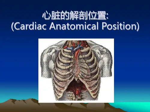 诊断学心脏检查1课件