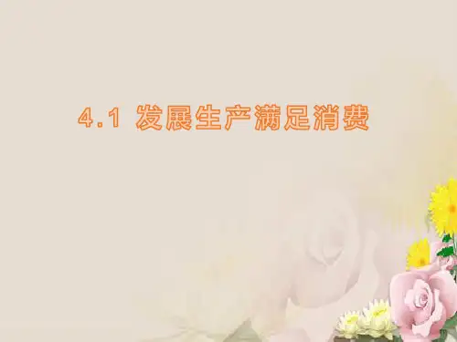高中政治必修一：4.1 发展生产 满足消费 (1) 课件(共23张PPT)