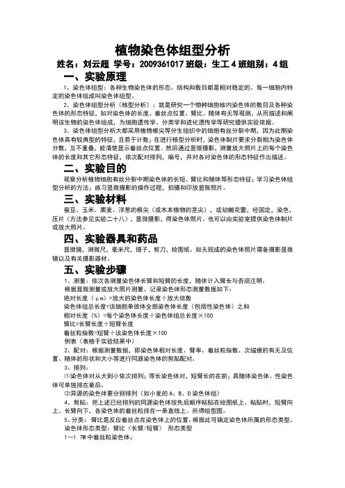 染色体组型分析