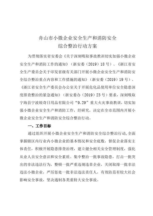 舟山市小微企业安全生产和消防安全综合整治行动方案