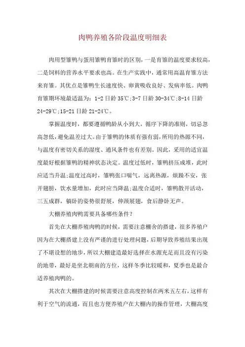 肉鸭养殖各阶段温度明细表