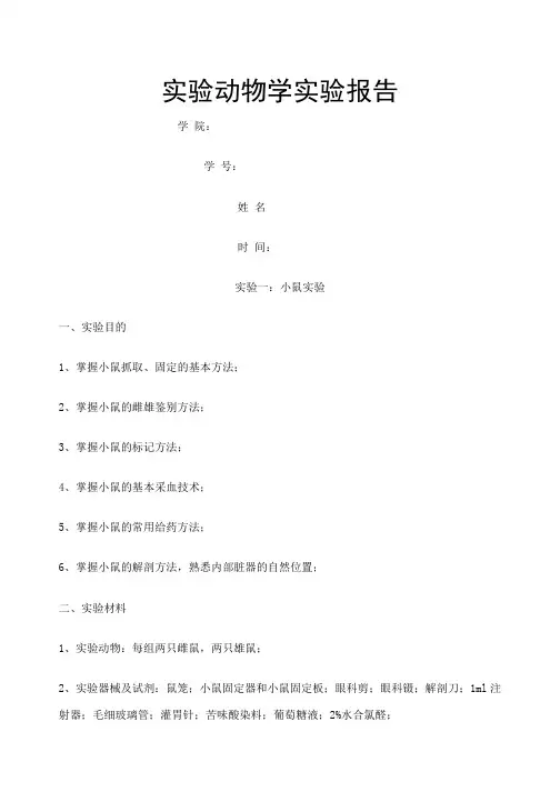 动物实验报告