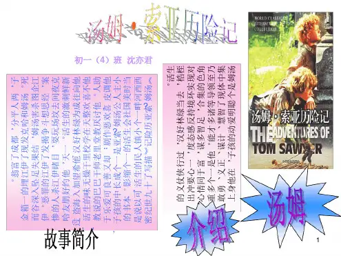 小学六年级下学期语文第17课汤姆·索亚历险记PPT课件